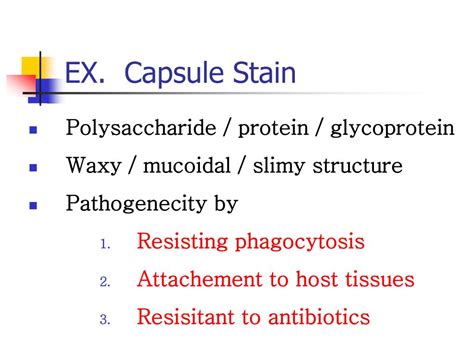 PPT - Negative Stain / Capsule Stain PowerPoint Presentation, free ...