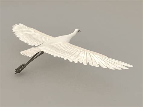 Flying-bird-3d-model-free felgarto