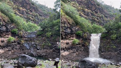 WATCH: Waterfall starts flowing again in Waimea Valley after running dry