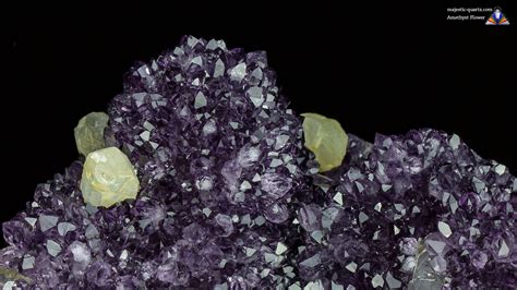 Amethyst Flowers Properties and Meaning + Photos | Crystal Information