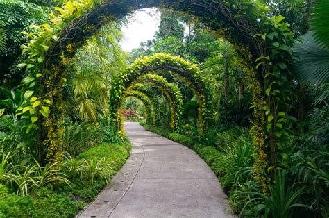 Singapore Botanic Gardens Hours | Fasci Garden