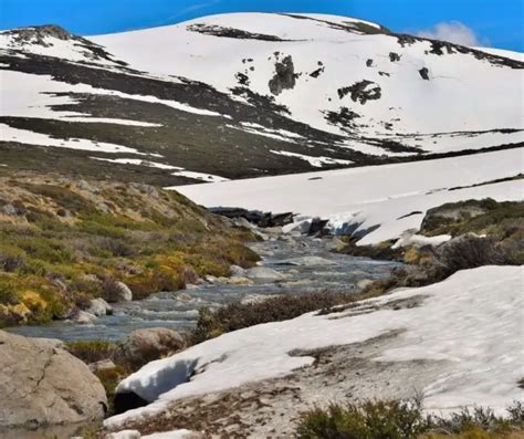 Mount Kosciuszko Facts for kids - KonnectHQ