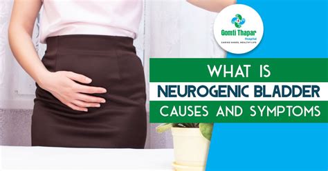 What is Neurogenic Bladder – Causes and Symptoms | Overactive bladder ...