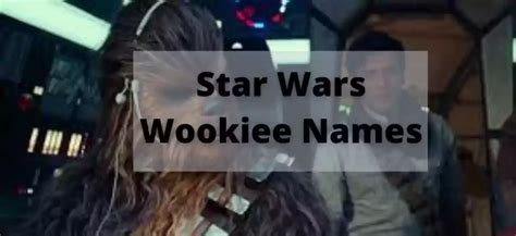 900+ Amazing Wookiee Names And Suggestions - Good Name