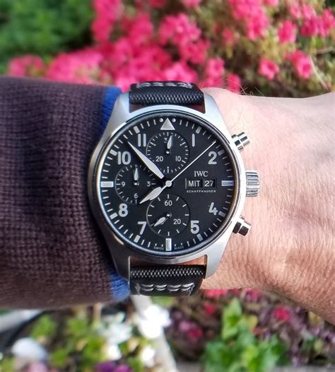 Owner Review: IWC Pilot's Watch Chronograph 41 C.03 - FIFTH WRIST