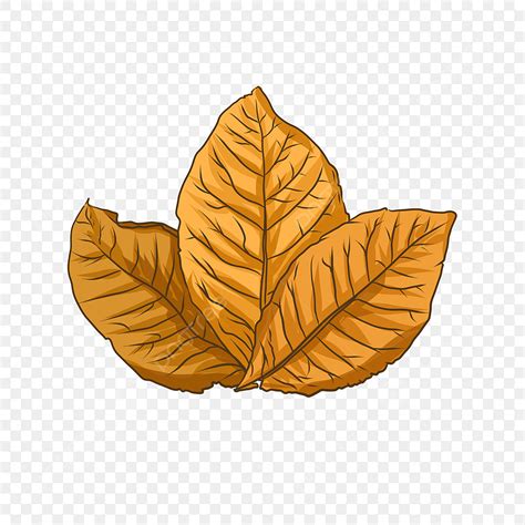 Tobacco Leaf Hd Transparent, Tobacco Leaf, Leaf Clipart, Tobacco Leaves ...