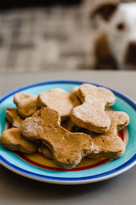 Homemade Pumpkin Dog Treats (No Peanut Butter) - Fresh April Flours