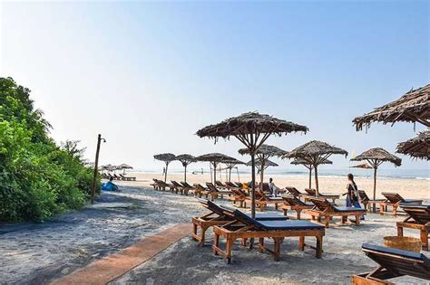 23 Beach Shacks in Goa in 2024 for Great Beer and Delicious Food