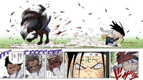 Versus Battle - Which Fight is Better ? Zoro Vs King or Neji Vs ...