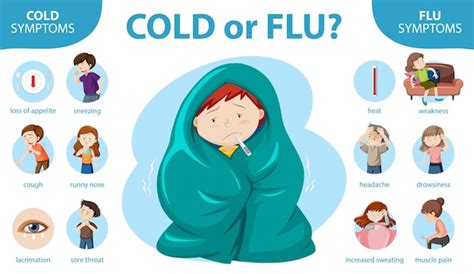 Free Vector | Medical infographic of cold and flu symptoms