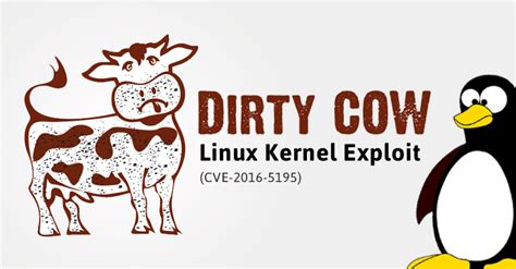 Dirty COW — Critical Linux Kernel Flaw Being Exploited in the Wild ...