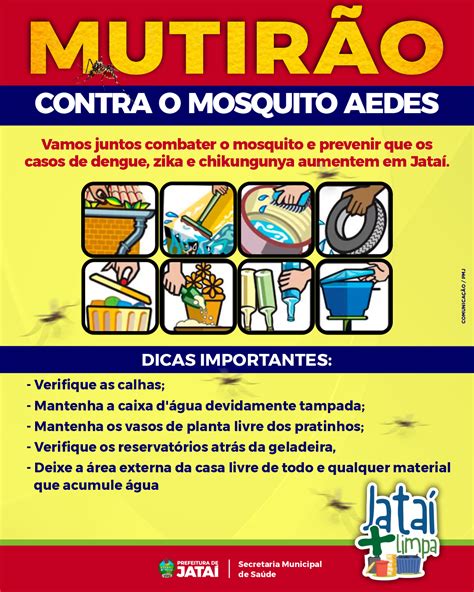 Mutirão de combate ao mosquito Aedes aegypti – Vamos juntos combater o ...