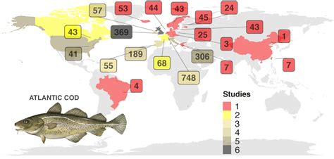 Atlantic cod - Seafood Ethics