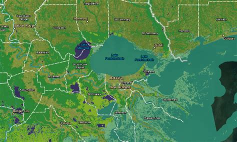 Use a Wetlands Map to Visualize the State of American Wetlands