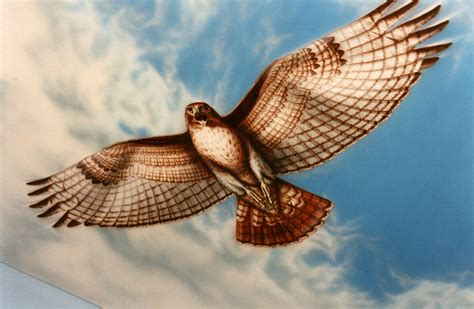 Commissions ~ Red Tail Hawk ~ Acrylic Airbrushed Ceiling Mural ~ Art ...