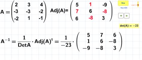 Inverse matrix symbolic calculator - swissgross