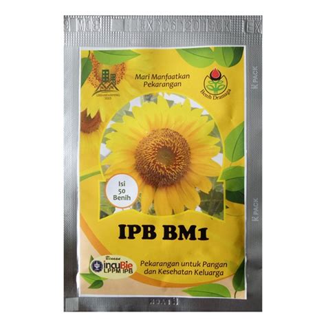 Jual Benih Bunga Matahari IPB BM1 50 Biji – Dramaga - BibitBunga.com