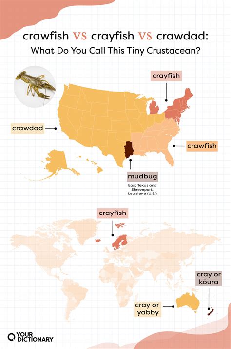 “Crayfish” vs. “Crawfish” vs. “Crawdad”: What’s the Difference ...