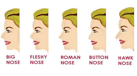 What Your Nose Shape Reveals About Your Personality?