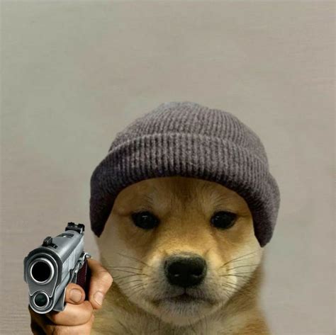 Anjing Shiba Inu Doge Meme Meninggal 39+ Gambar Anjing Shiba Meme ...