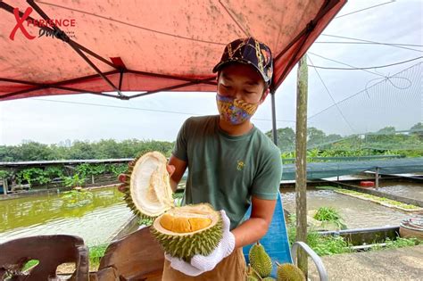 Durian, Seafood, and Fish Farm Half Day Tour - Klook, Vereinigte Staaten