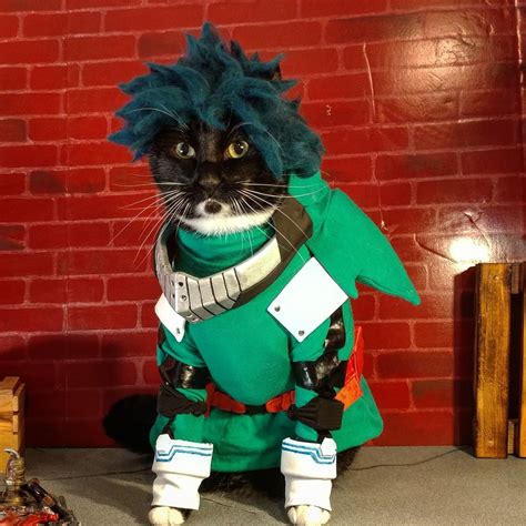 Pin by Vanille Vanille on Boku no Hero Academia | Anime cat, Cat ...