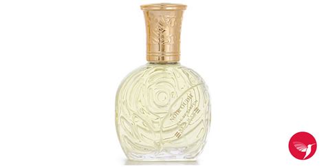 Noir Oudh Ne'emah For Fragrance & Oudh perfume - a fragrance for women ...