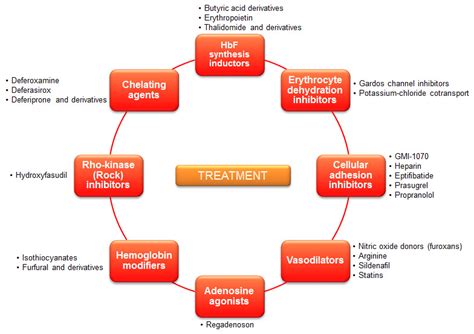 Sickle Cell Disease – Current Treatment and New Therapeutical ...