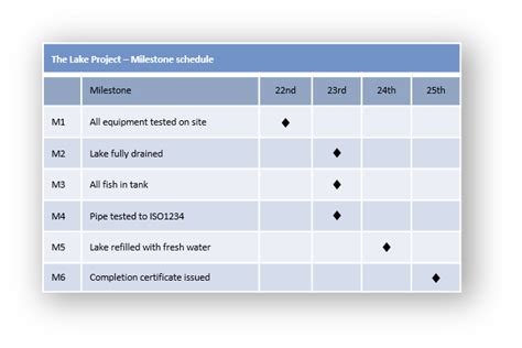 Plan milestones - Praxis Framework