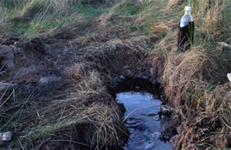 Suez to pay £505,000 for pollution at Cornwall's largest landfill - GOV.UK