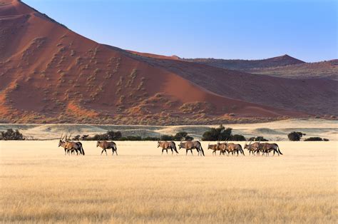 10 Best Places to Visit in Namibia – Touropia Travel