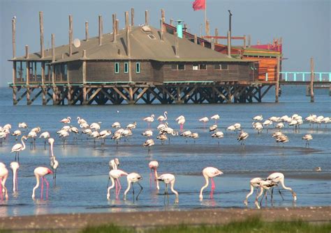 Walvis Bay Tourguides