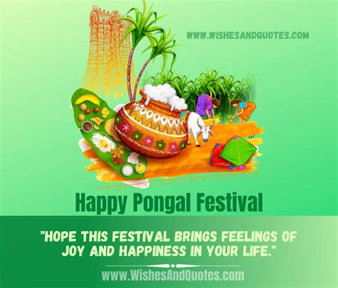 Pongal 2024: Wishes, Quotes, SMS, Messages, Status, Shayari, Greetings