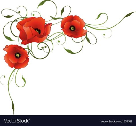 Poppies floral element border Royalty Free Vector Image