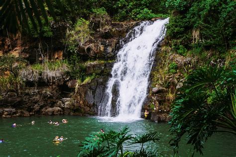 Waimea Valley & Waterfall - LAURALOHA TRAVEL