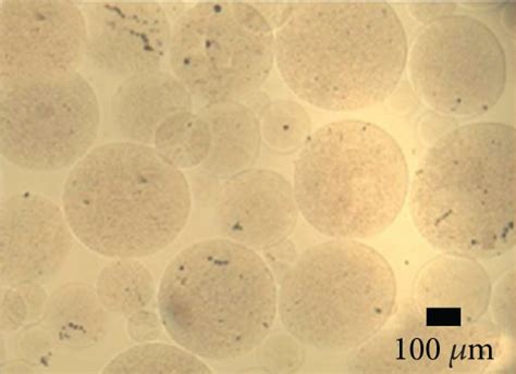 Optical micrographs of alginate microcapsules produced with different ...