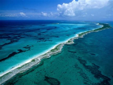 Top 10 Largest Coral Reefs Of The World - Largest Coral Reefs