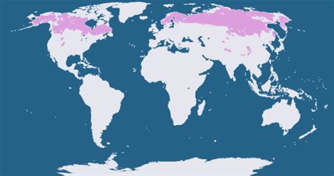 Climate Types for Kids | Subarctic Climte