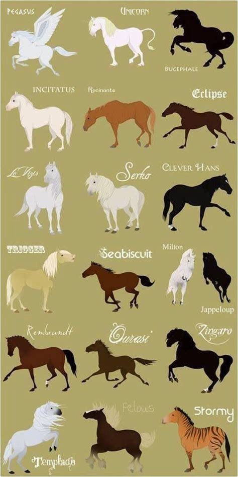 Pin by Katie Gilmore on Les Chevaux | Cute horses, Horse breeds, Horse ...