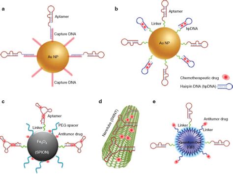 Cell-type-specific, Aptamer-functionalized Agents for Targeted Disease ...