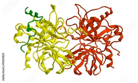 Molecular structure of thrombin Stock Illustration | Adobe Stock