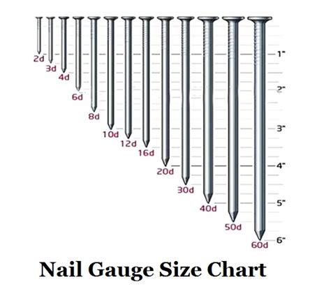 Nail Size Chart - Penny Size, Gauge, Length & Diameter of a Nail ...