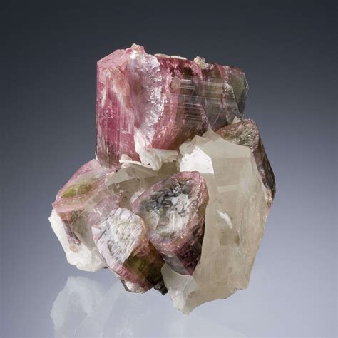 Tourmaline With Quartz - TUC114-025 - Himalaya Mine - USA Mineral Specimen