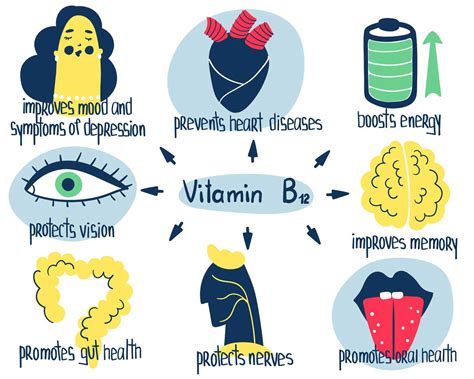 The Importance of Vitamin B12 To Our Body | WellCome Om Integral ...