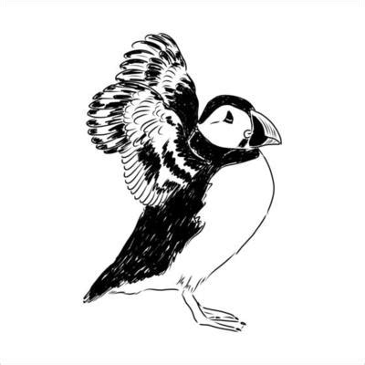 Puffin Bird Vector Art, Icons, and Graphics for Free Download