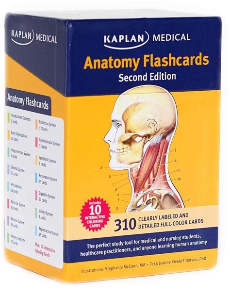 Anatomy Flashcards: 9781607149842: Medicine & Health Science Books ...