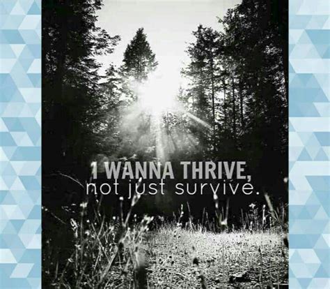 Pin by Rebecca Minor on Thrive | Thrive, Book cover, Cover