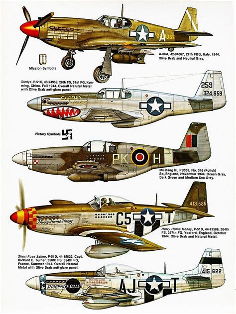 P51 Mustang Variants | A Military Photo & Video Website