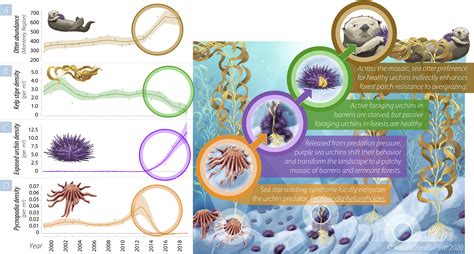 Behavioral responses across a mosaic of ecosystem states restructure a ...