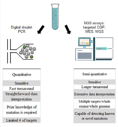 | Comparison of digital droplet PCR (ddPCR) and next generation ...